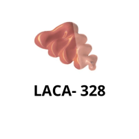 PRETO_-_320_19_.png